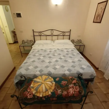 Edera * Porto Sant'Elpidio