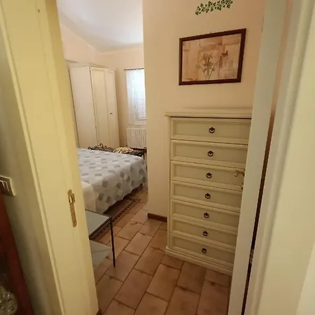 Edera *