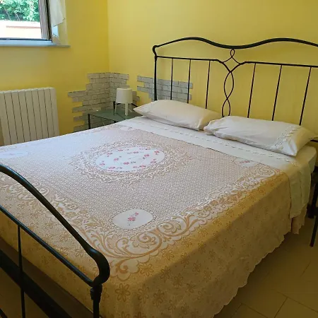 Edera Porto Sant'Elpidio
