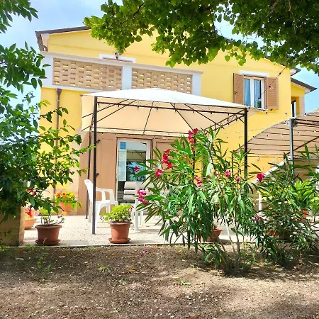 Edera